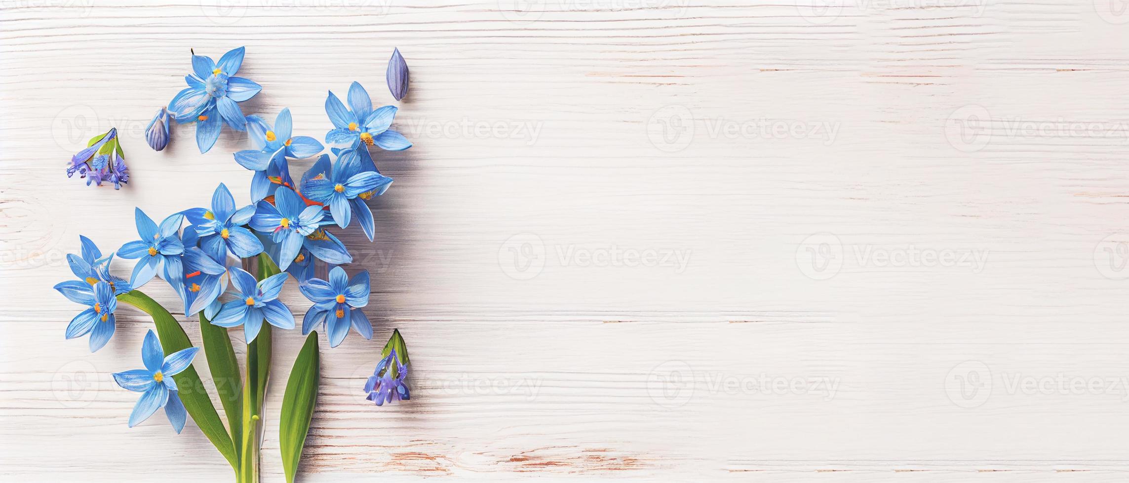 Haut vue bleu scilla fleurs sur blanc en bois Contexte avec espace pour texte. premier printemps fleurs. salutation carte pour la Saint-Valentin jour, femme journée et de la mère journée photo