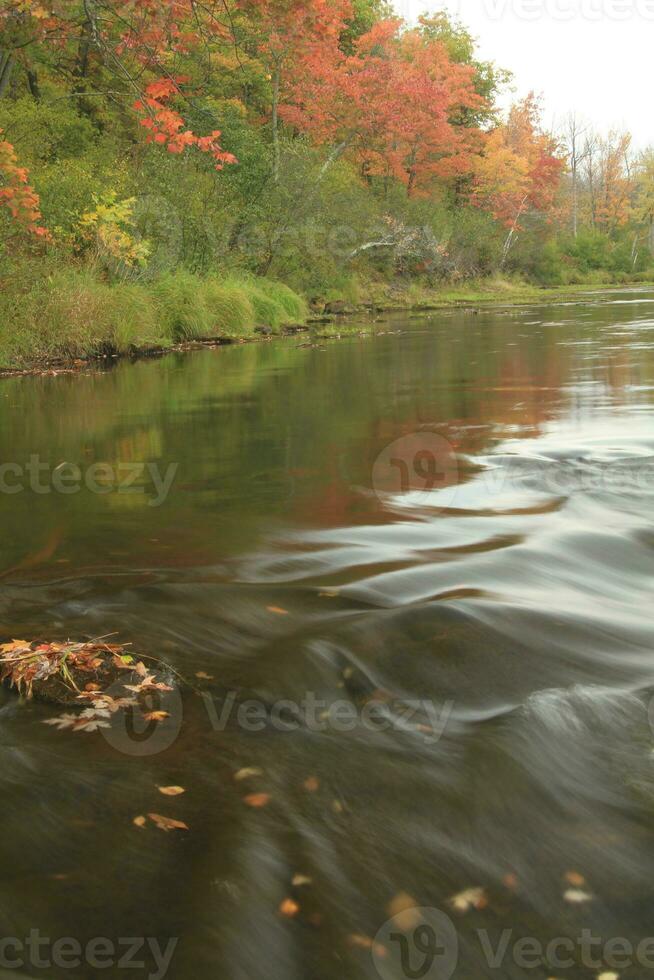 interdiction rivière en mouvement dans tomber photo