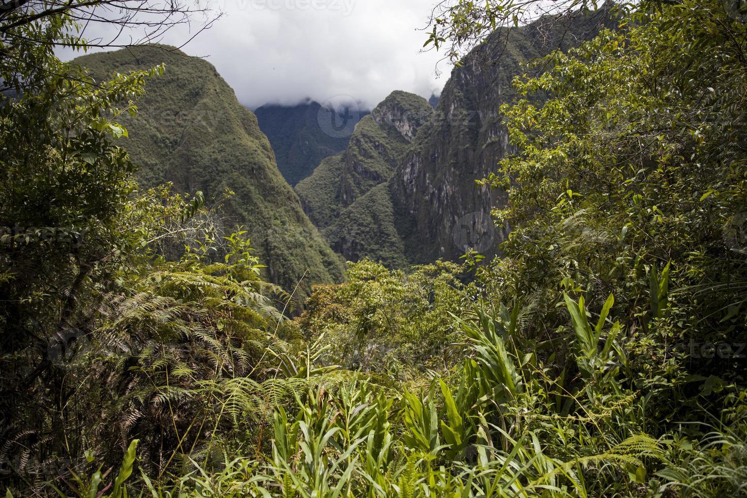 machu picchu au pérou photo