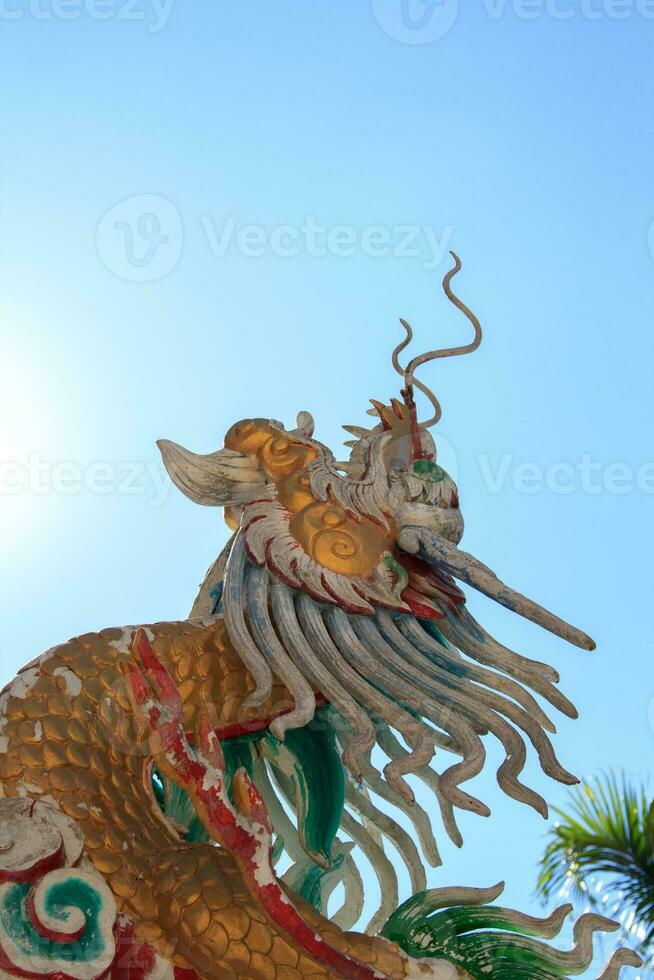 stuc dragon est une chinois sculpture et est une mythique créature cette est populairement construit dans chinois les temples et sanctuaires. il est une délicat art établi par qualifié artisans. photo