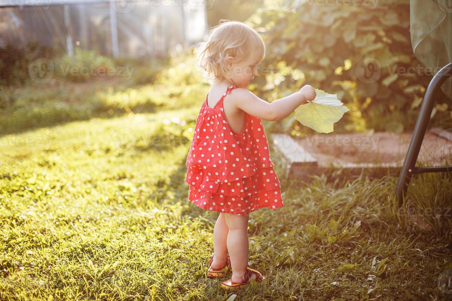 le fille des promenades dans le Cour avec une feuille dans sa main photo