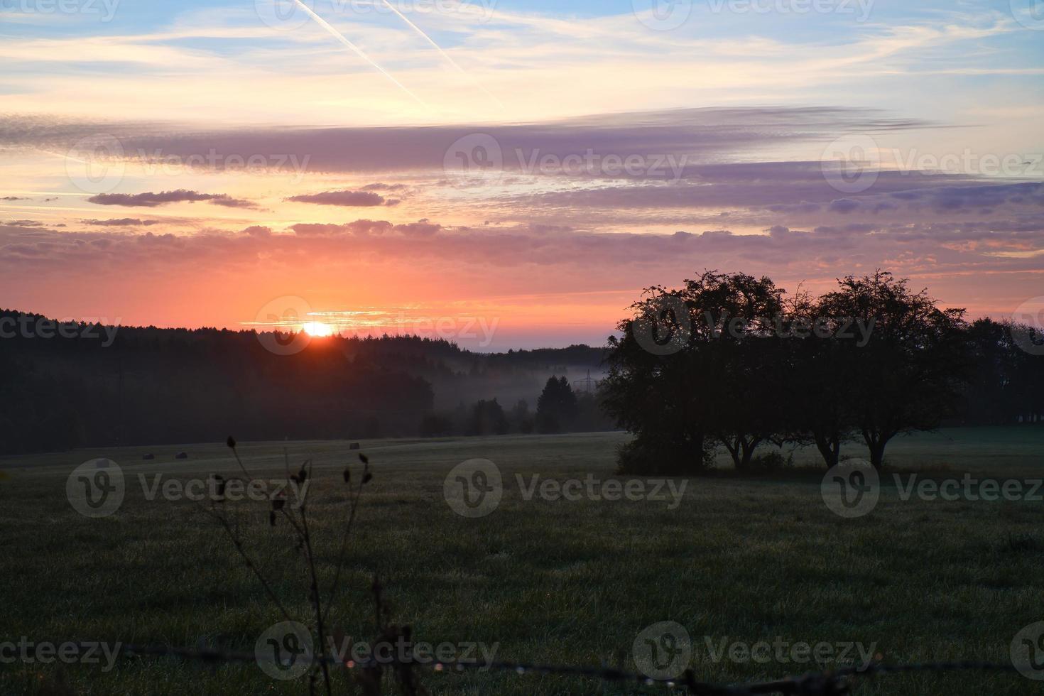 lever du soleil plus de une voisin forêt avec Prairie dans le premier plan. pâturage paysage photo