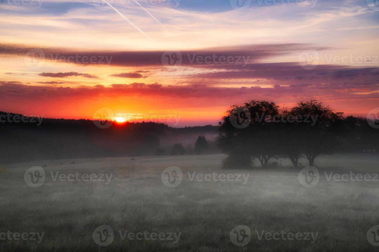 lever du soleil plus de une voisin forêt avec Prairie dans le premier plan. pâturage paysage photo