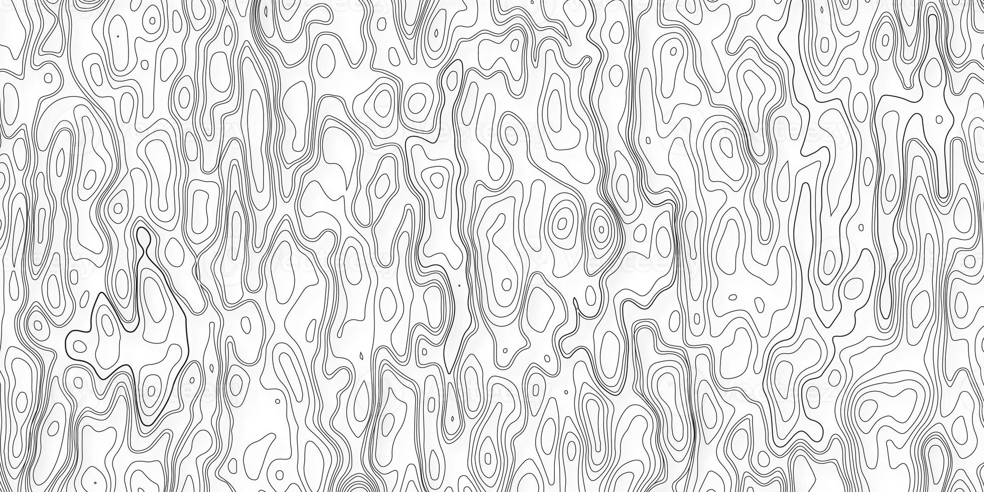 fond et texture topographiques. abstraction avec place pour le texte. lignes de fond topo, contour, grille géographique. lignes de contours topographiques modernes en noir et blanc des montagnes. art de la carte topographique photo