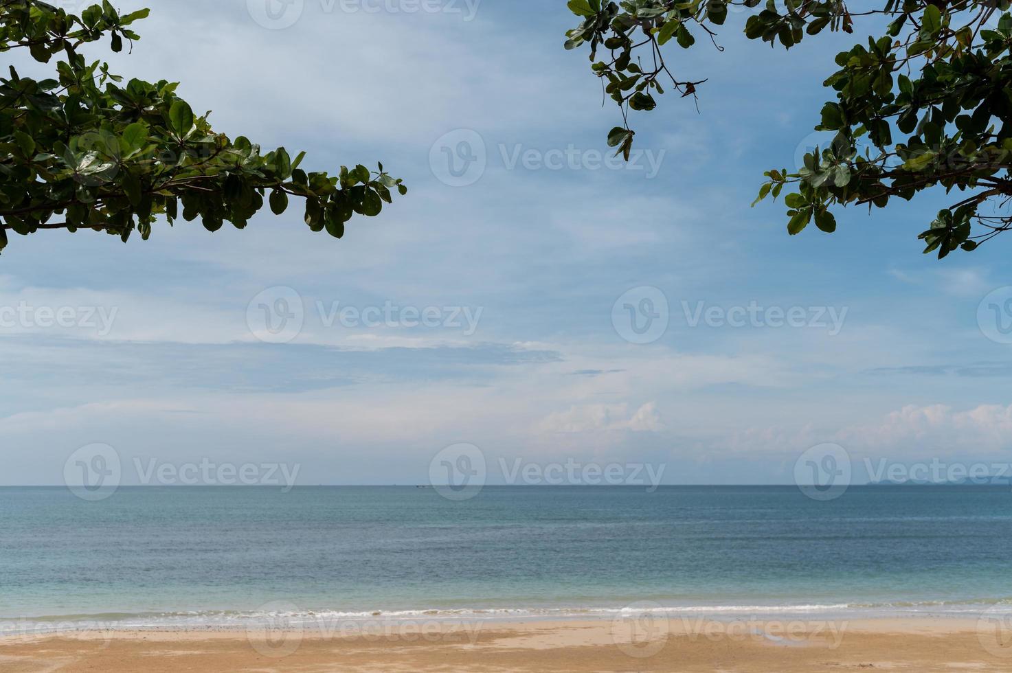 vue sur la plage avec arbres photo