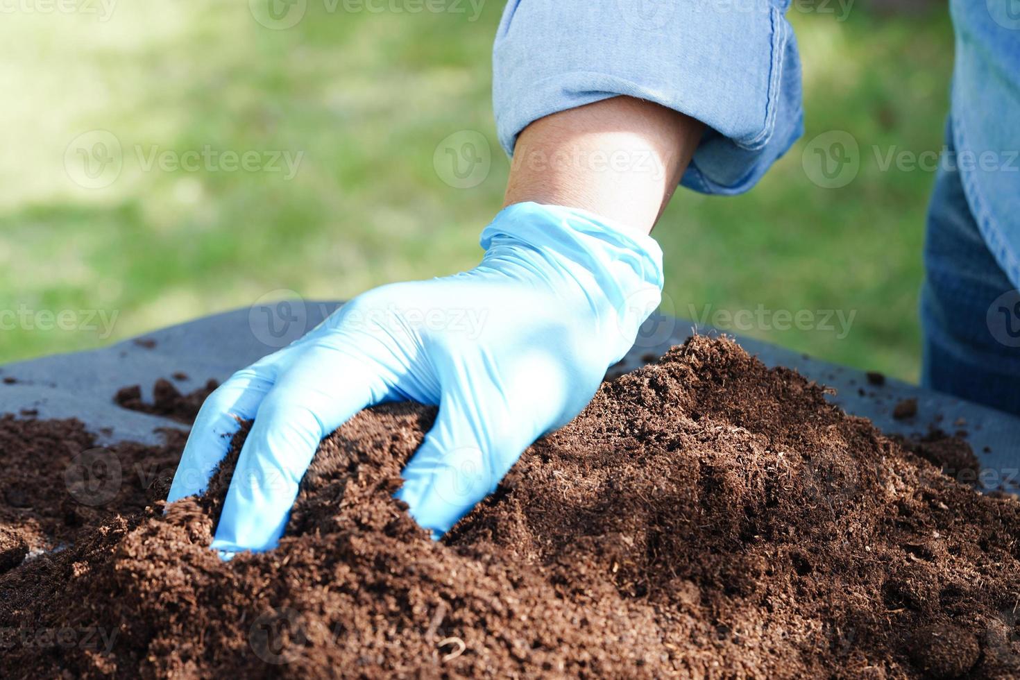 mousse de tourbe, sol fertilisant pour l'agriculture biologique, culture de plantes, concept écologique. photo