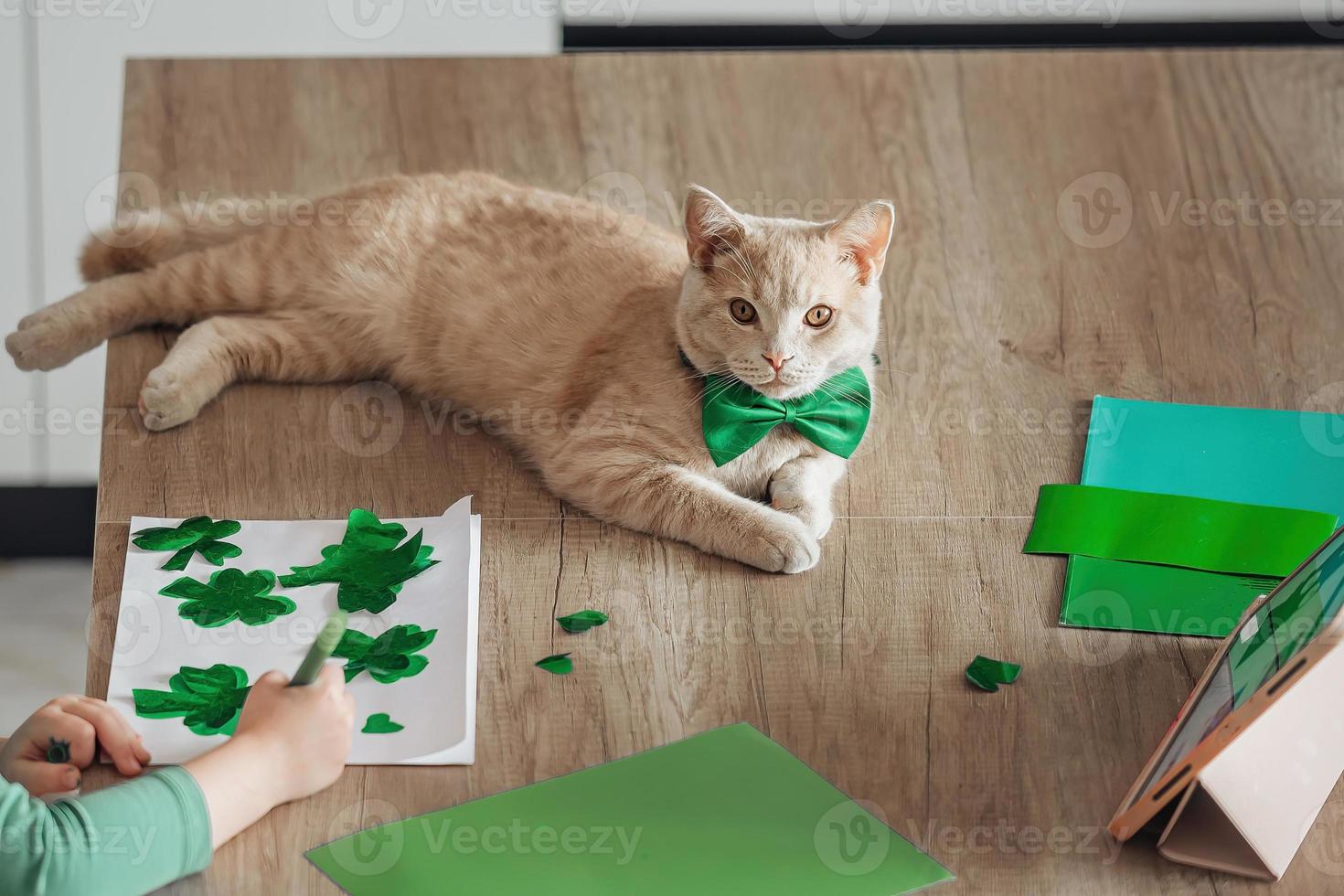 une peu fille avec une bandage sur sa tête dessine et coupes vert trèfles pour st. patrick's journée à une table à Accueil dans le cuisine, suivant à sa est sa magnifique chat avec une vert arc attacher autour le sien cou photo