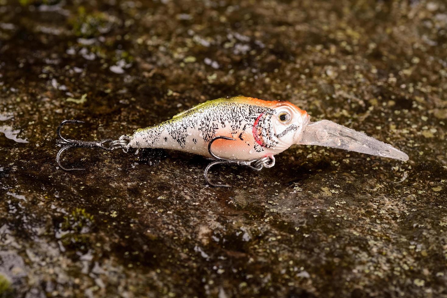 Leurre de pêche wobbler sur une pierre humide avec de la mousse photo