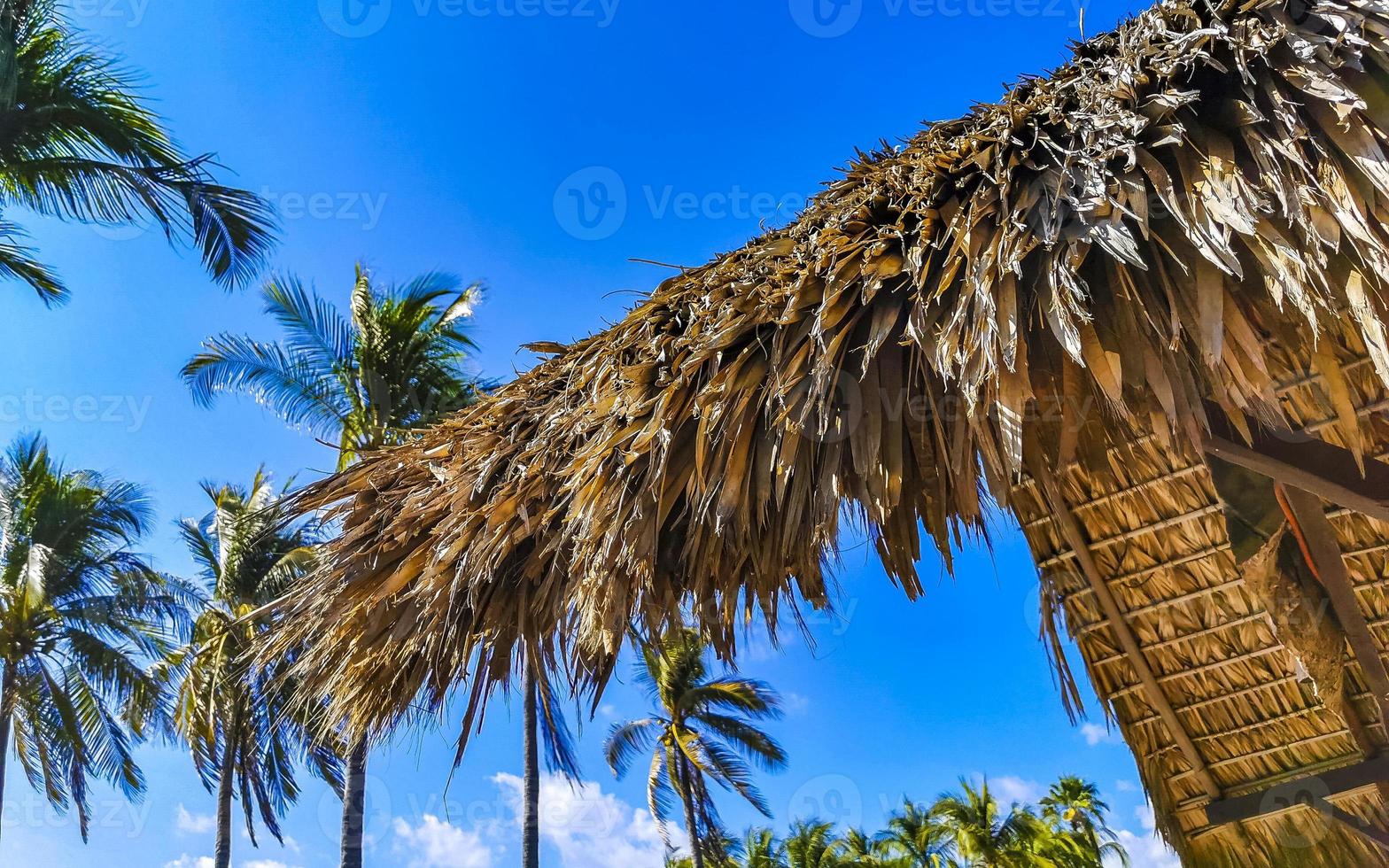 hôtels resorts bâtiments au paradis parmi les palmiers puerto escondido. photo