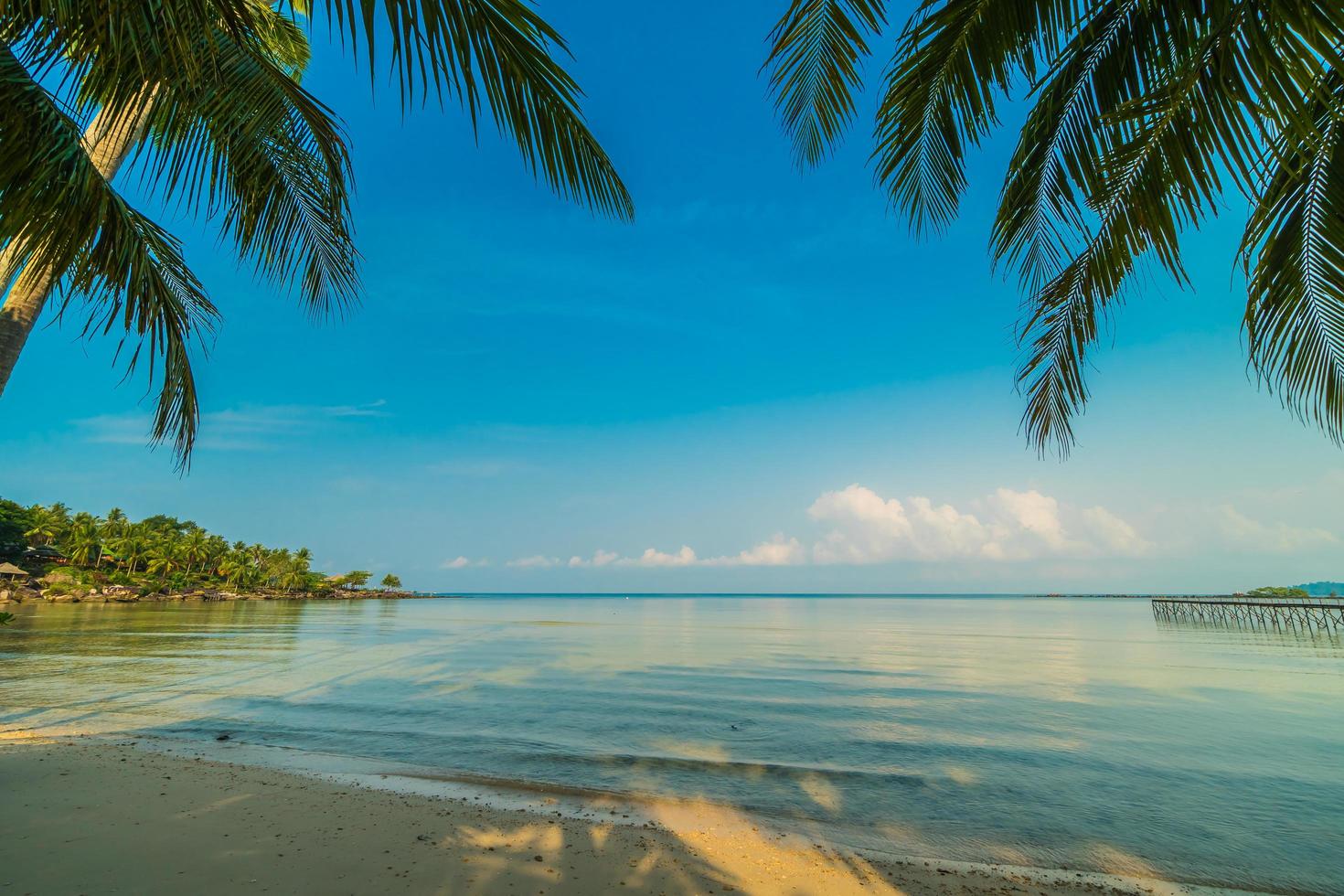 île paradisiaque avec plage et mer photo