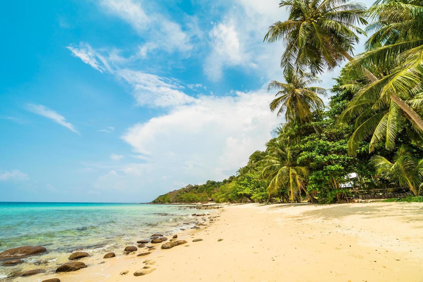 île paradisiaque avec plage et mer photo