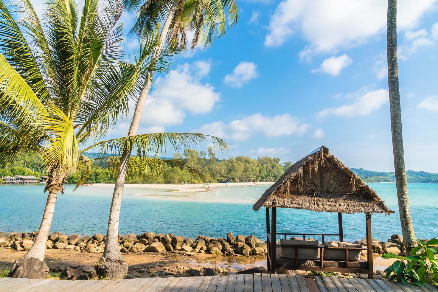 cocotiers sur la plage photo