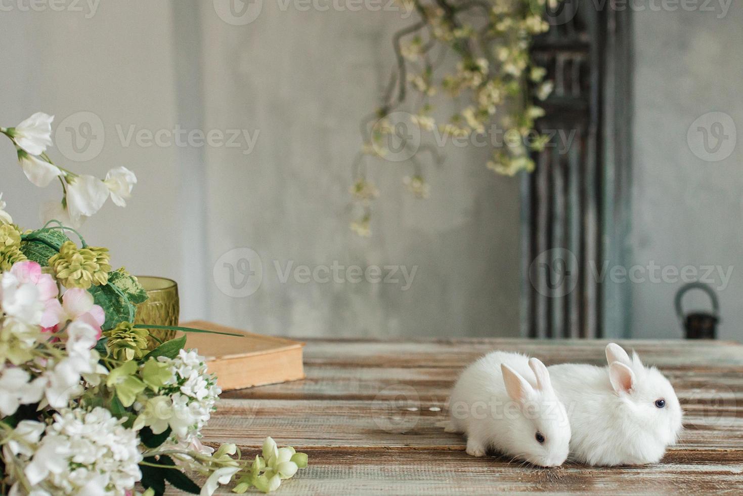 une groupe de mignonne Pâques lapin lapins sur le table dans le vivant chambre. magnifique mignonne animaux domestiques. photo