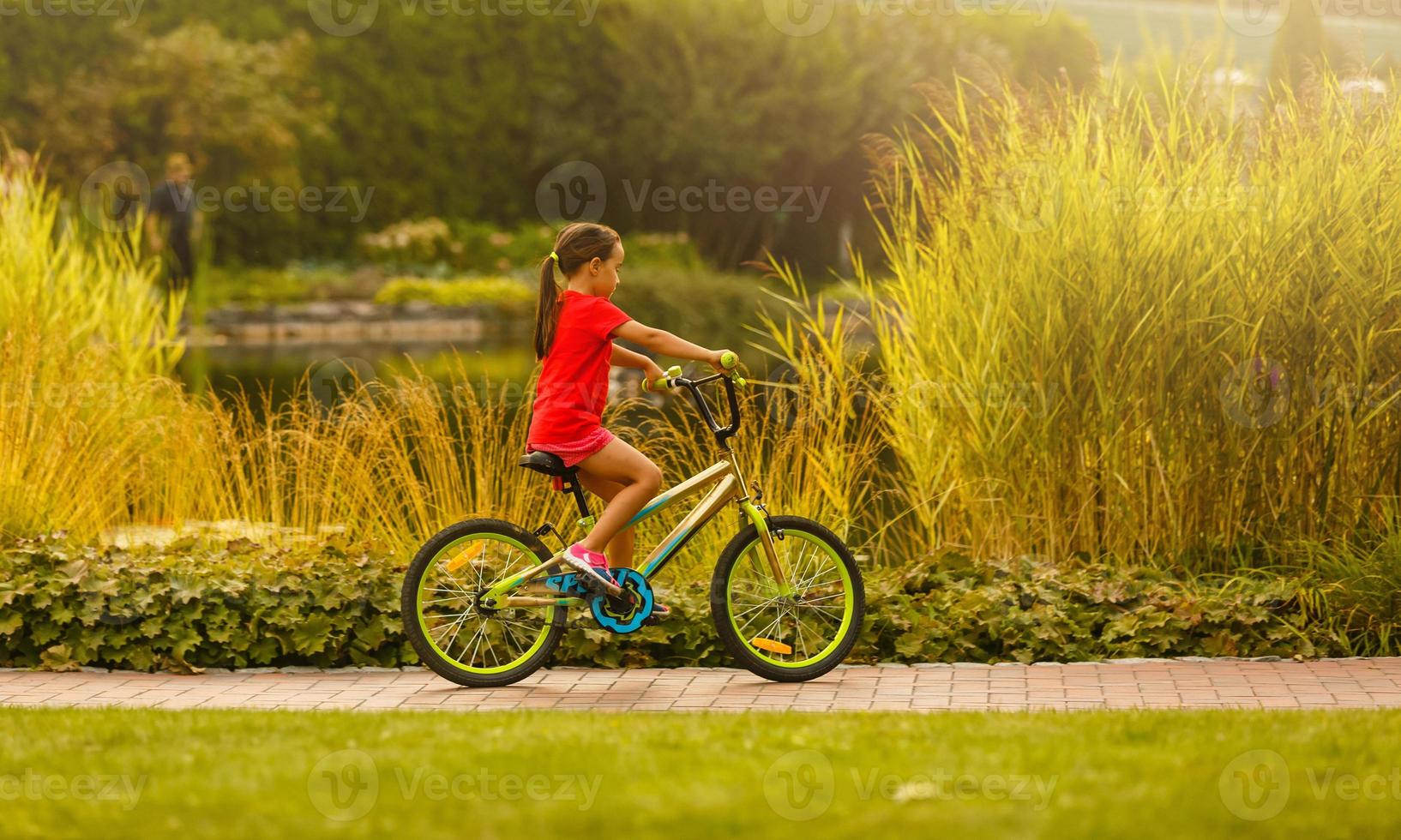 enfant équitation vélo. enfant vélo dans ensoleillé parc. peu fille profiter bicyclette balade sur sa façon à école chaud été journée. enfant d'âge préscolaire apprentissage à équilibre vélo sport pour enfants. photo