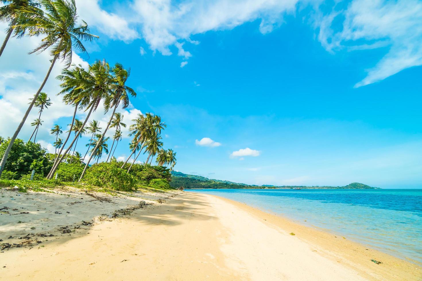 belle plage tropicale et mer photo