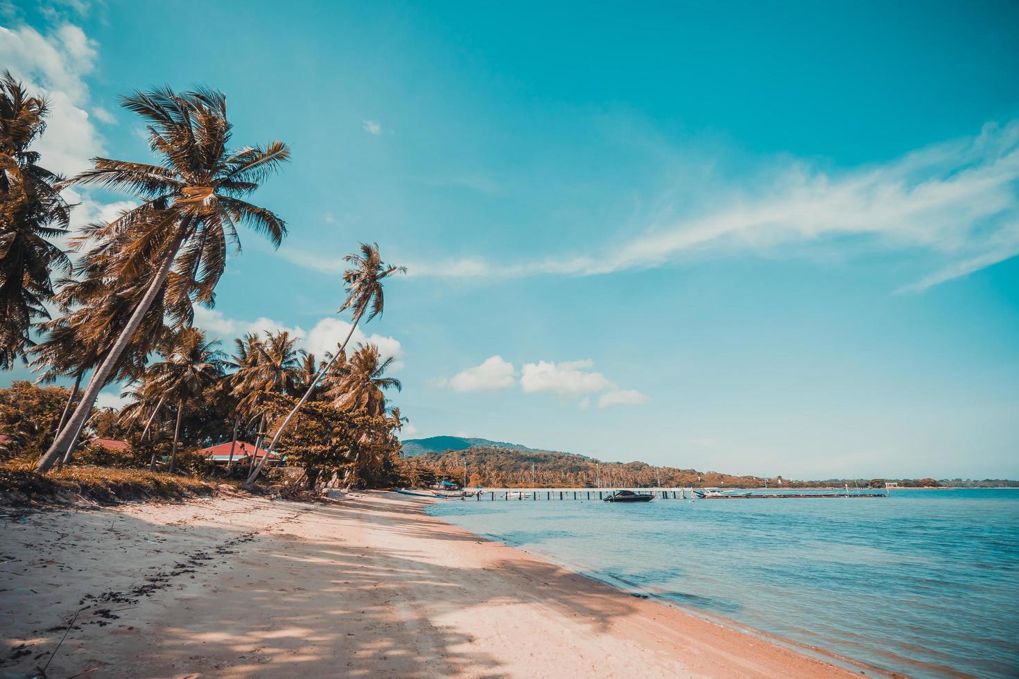 belle plage tropicale et mer photo