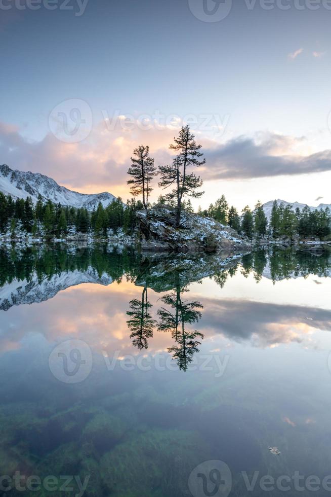 une Lac dans hiver, sur lequel des stands une Roche avec deux des arbres, pendant une le coucher du soleil photo