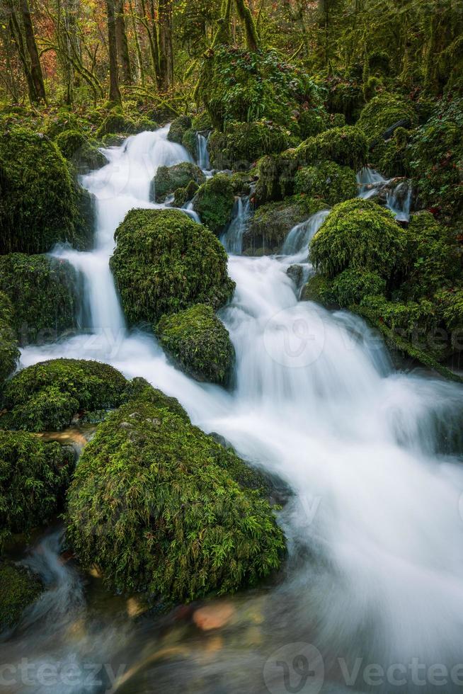 une cascade dont des pierres sont couvert avec mousse photo