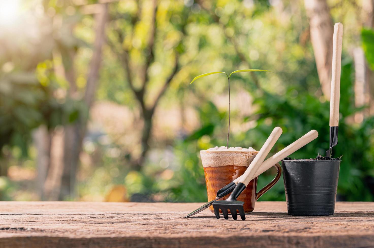 planter des arbres dans des pots, concept de plantes d'amour, aimer l'environnement photo