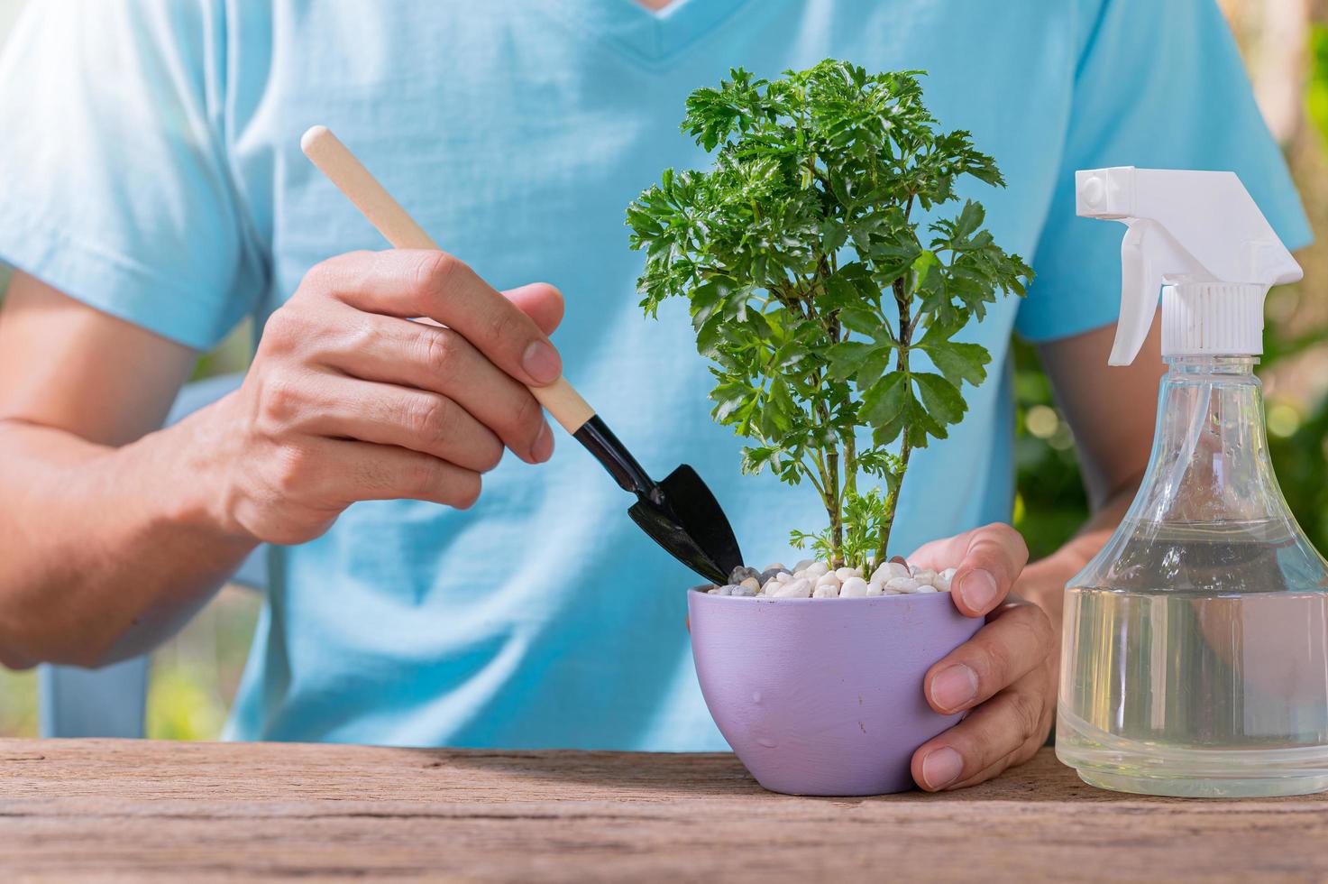 Personne plantant des arbres dans des pots, concept de plantes d'amour aiment l'environnement photo