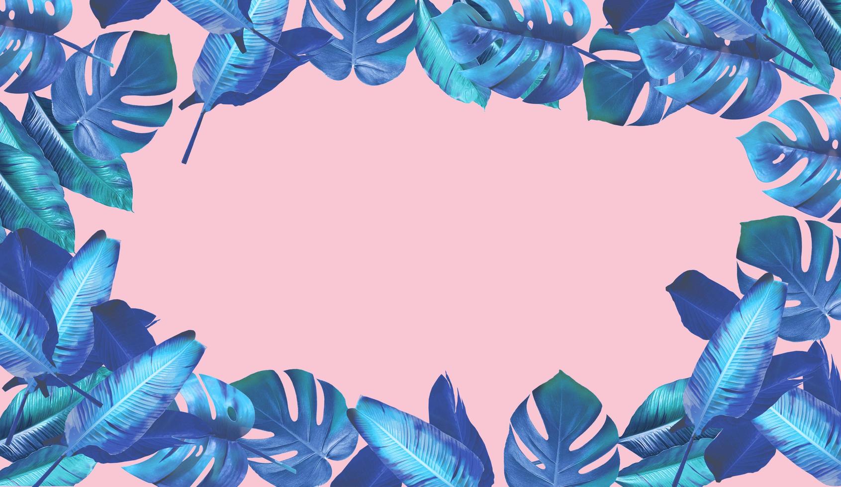 tropical feuilles sur rose Contexte. monstera et banane feuilles. vecteur illustration. photo