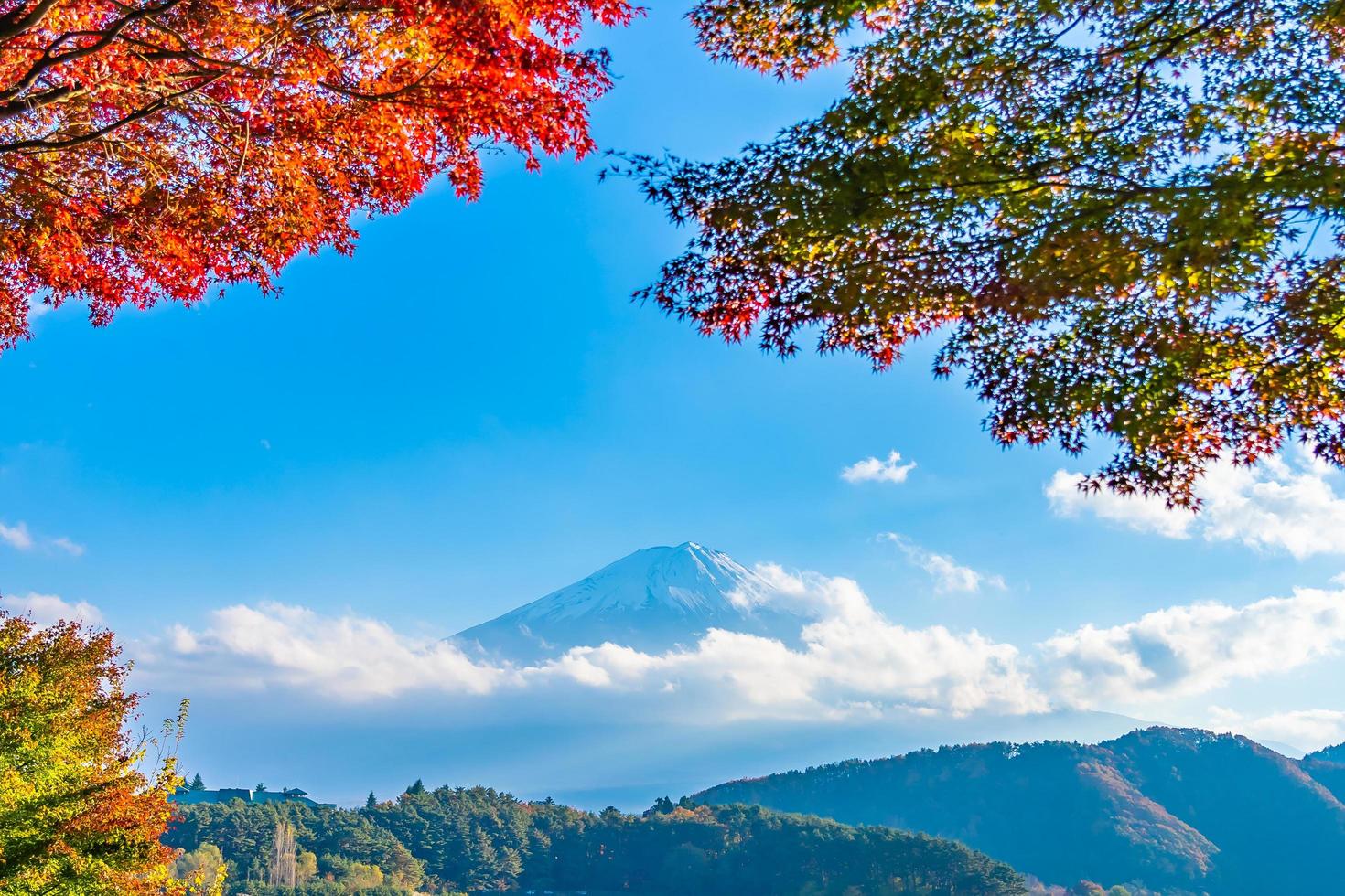 mt. Fuji avec des érables à Yamanashi, Japon photo
