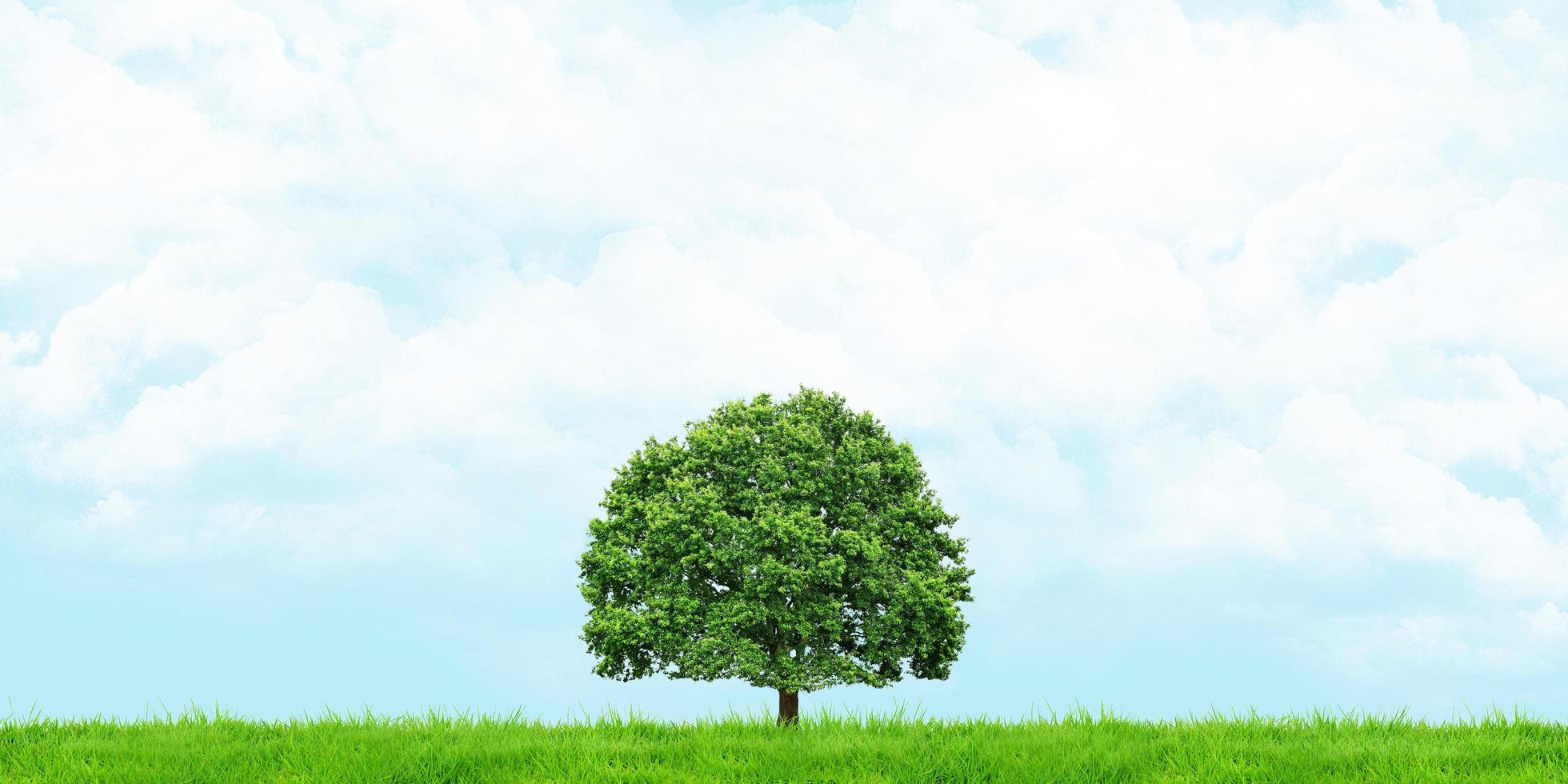 3d illustration de l'herbe et des arbres avec vue sur un ciel nuageux photo