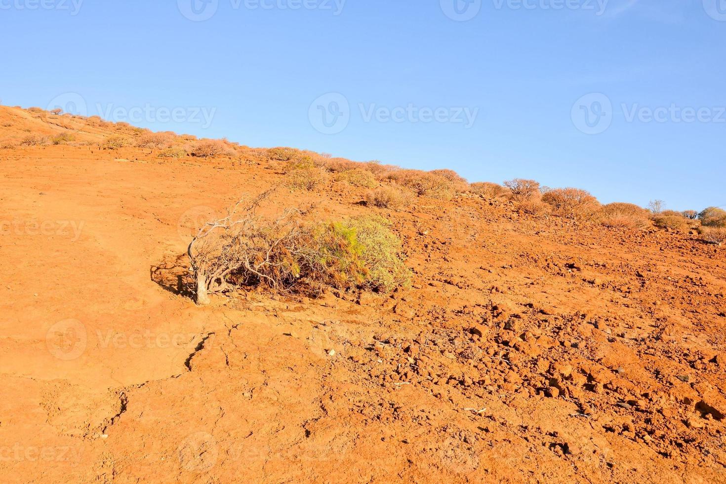 scénique paysage sur Ténérife, canari îles, Espagne photo