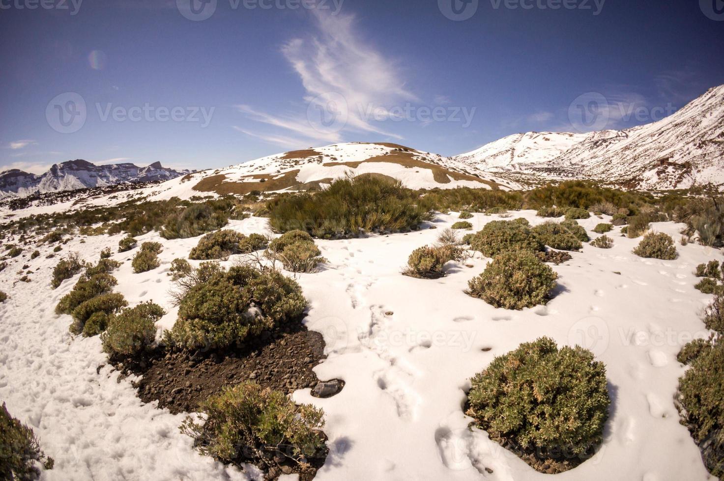 paysage de montagne pittoresque photo