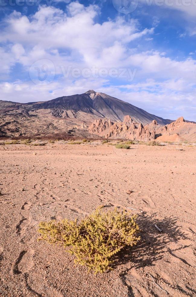 paysage de montagne pittoresque photo