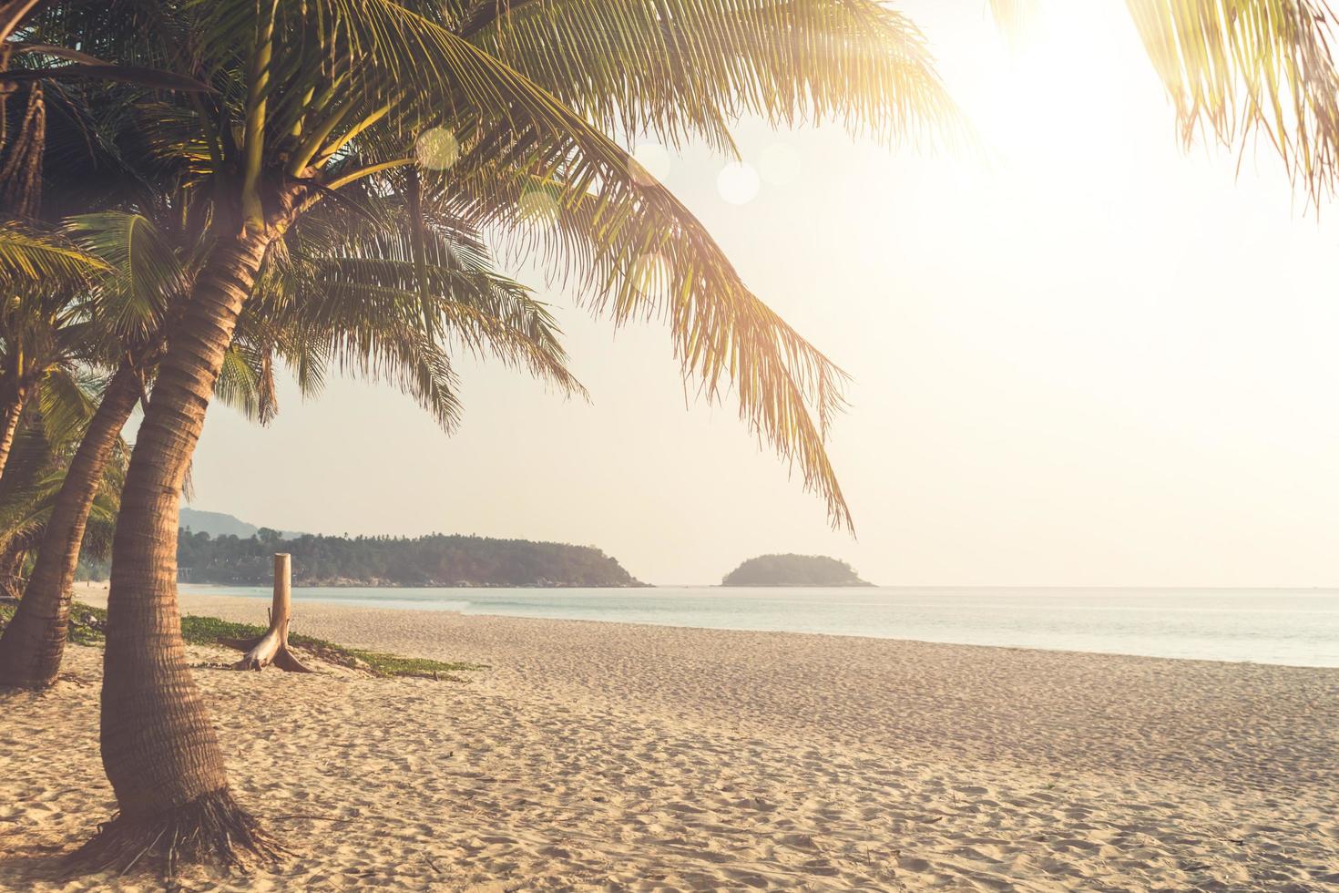 coucher de soleil sur la plage de la nature tropicale photo