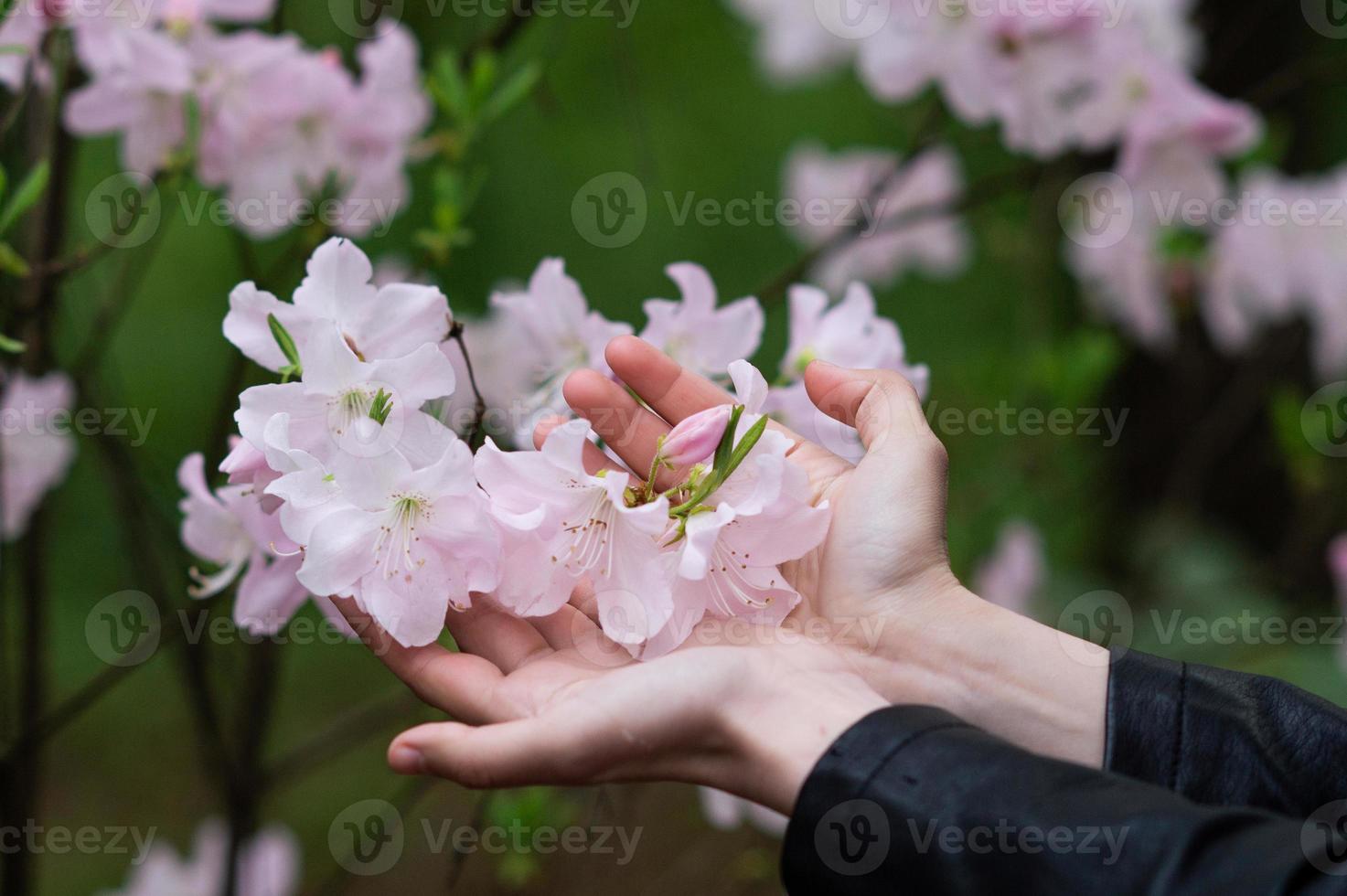 une Jeune fille mensonges dans le vert herbe avec sa yeux fermé dans une rose robe photo