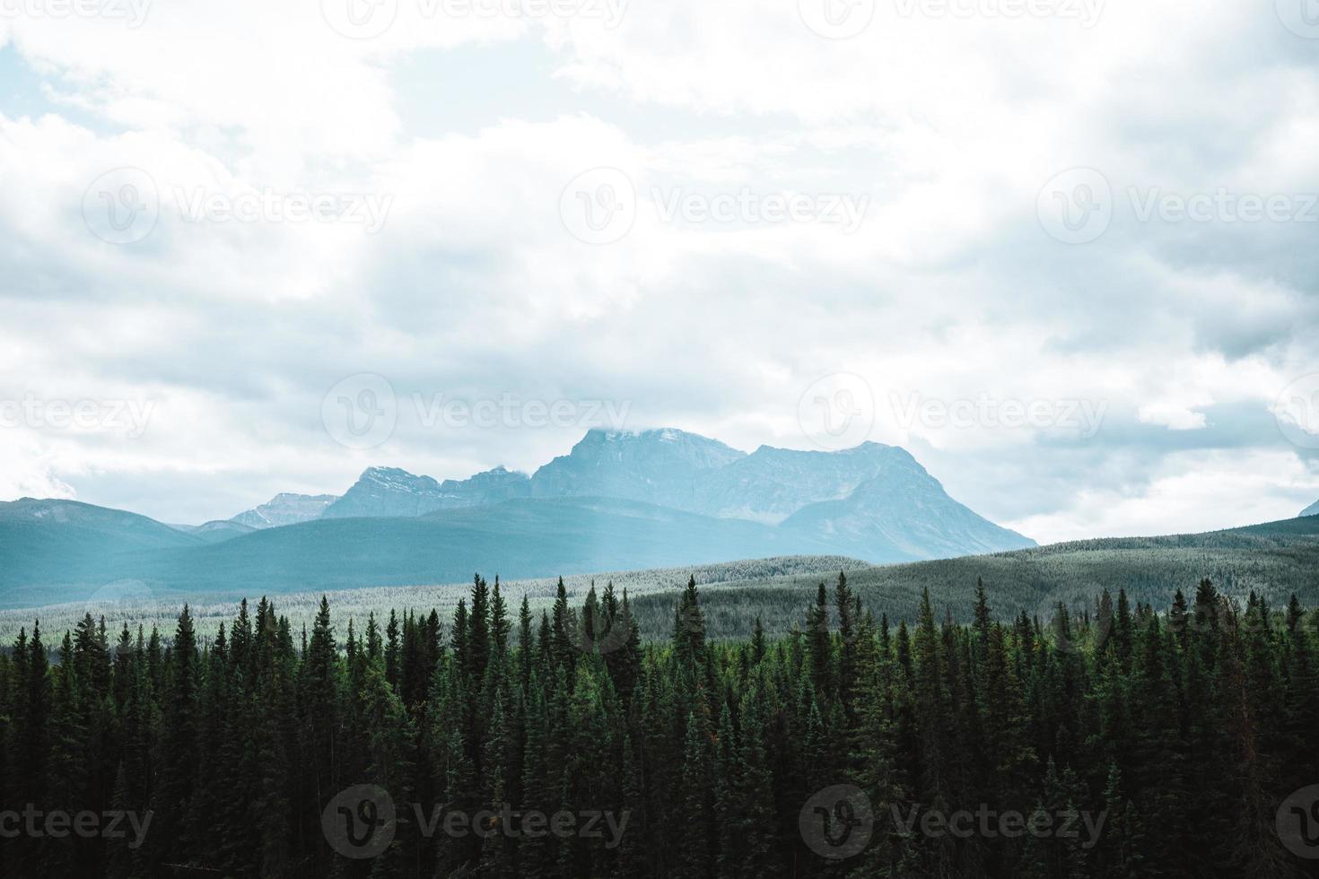 de morant courbe, arc rivière les flux par forêt et chemin de fer piste. orage Montagne dans le Contexte. Château falaise point de vue, arc vallée promenade, banff nationale parc, canadien Rocheuses, alberta, Canada. photo