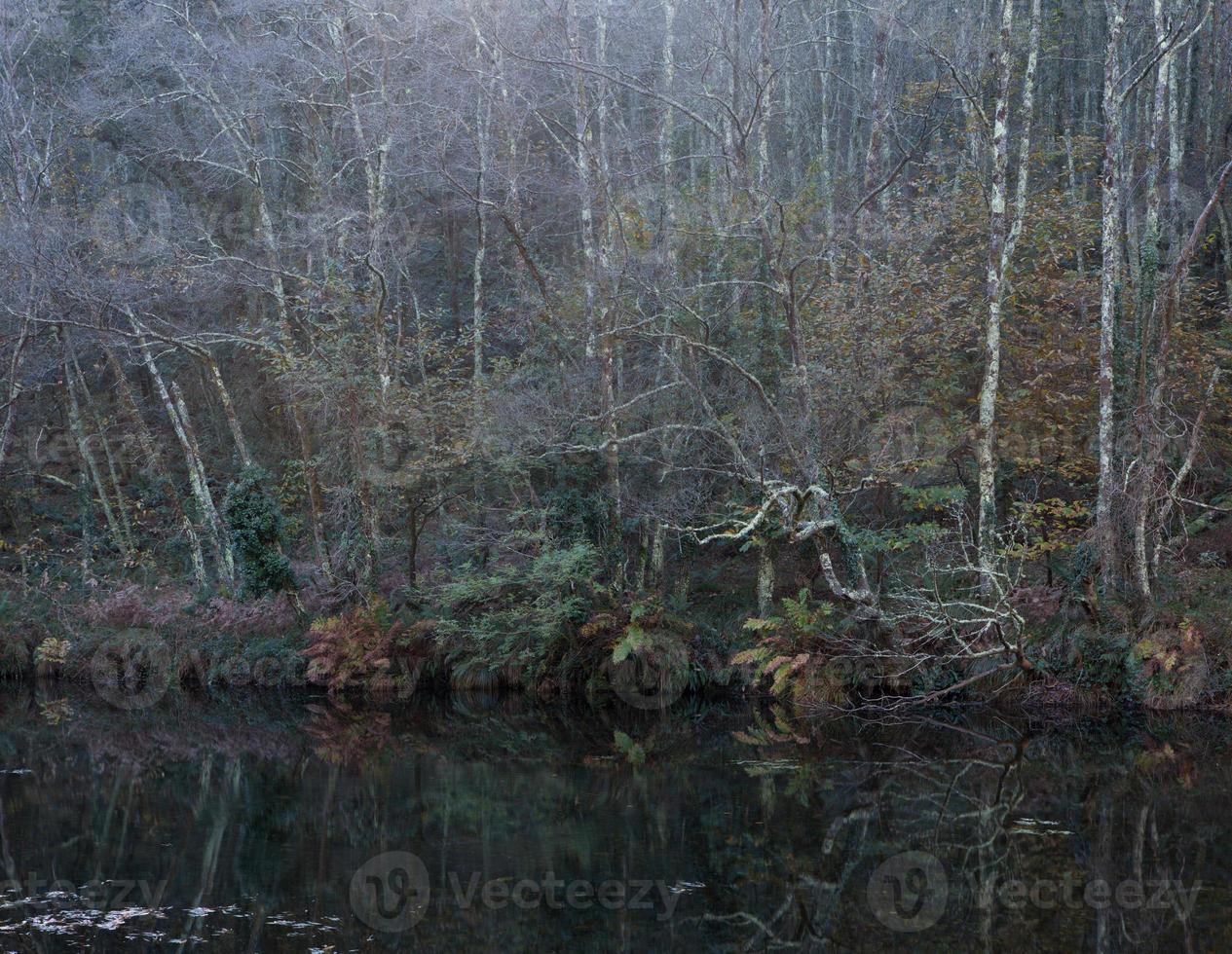 forêt en hiver reflétée dans la rivière photo