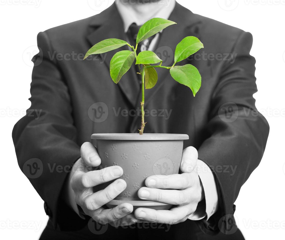 homme d'affaire est en portant une plante dans pot photo
