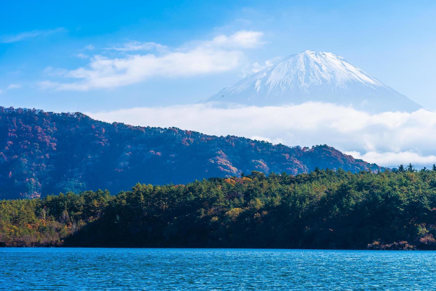 paysage au mt. Fuji, Yamanashi, Japon photo