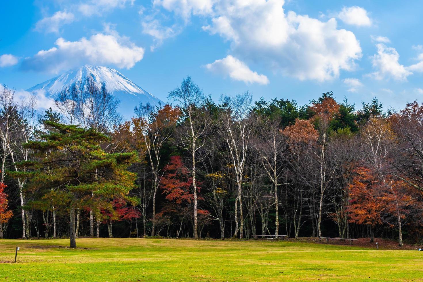 paysage au mt. Fuji, Yamanashi, Japon photo