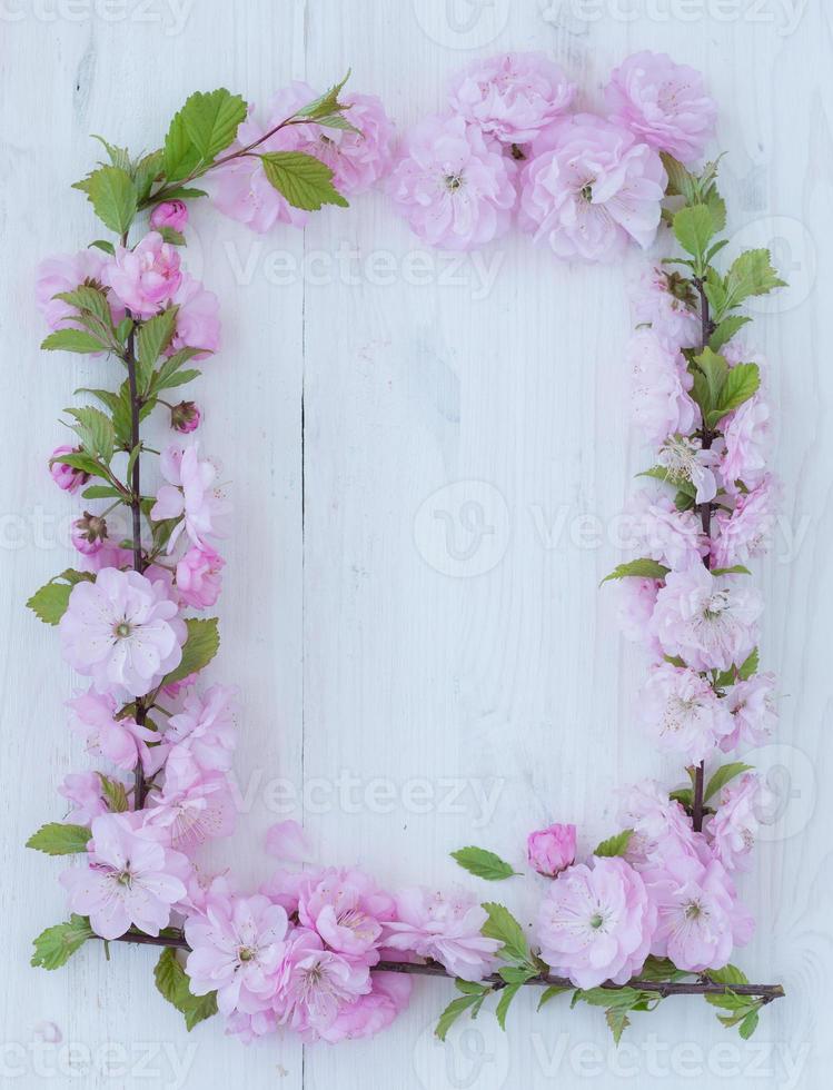 fleurs Cadre sur blanc en bois photo