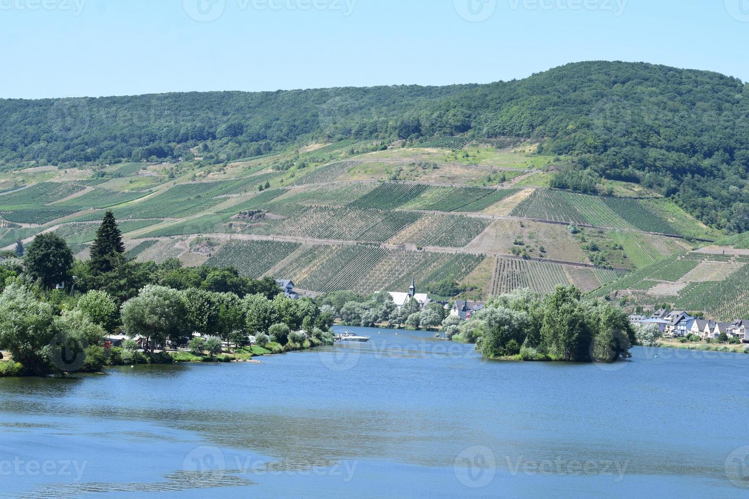 zell un der moselle, bleu rivière et île photo