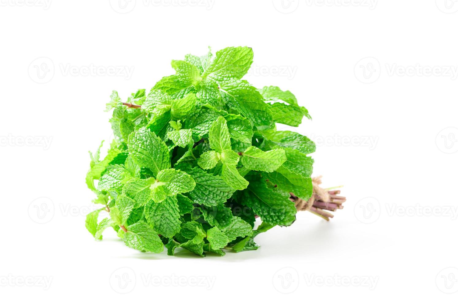 proche en haut de menthe feuilles isolé sur blanc arrière-plan, herbes et épices photo