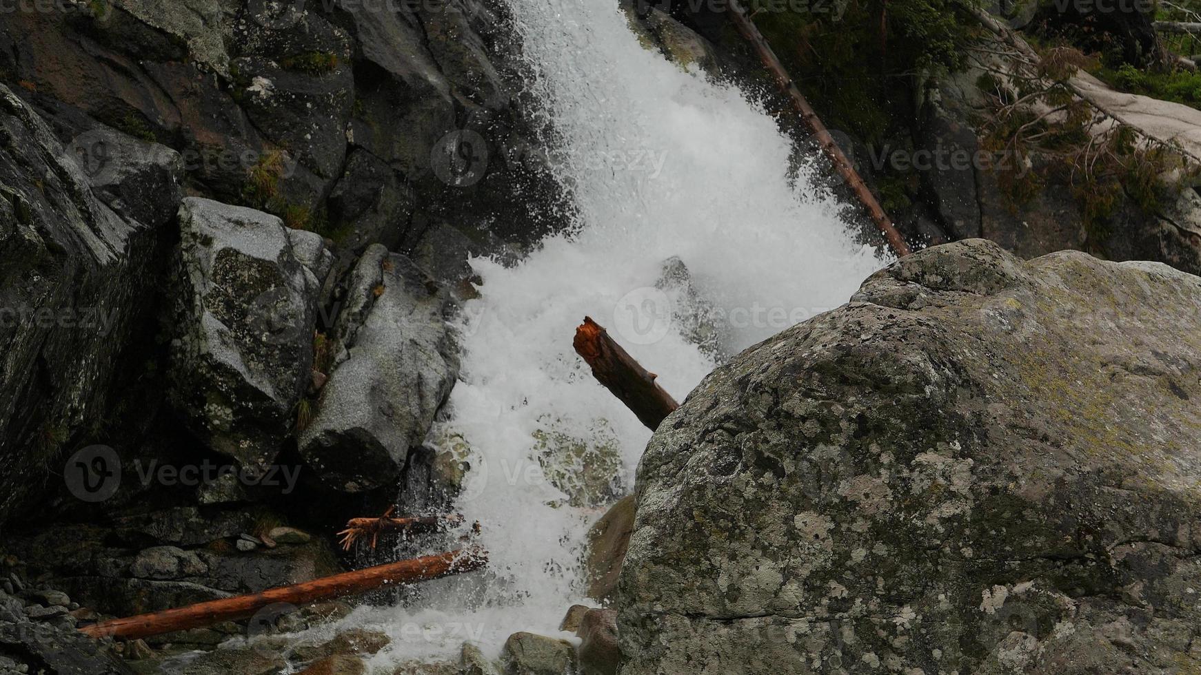 vue panoramique sur la cascade dans la forêt photo