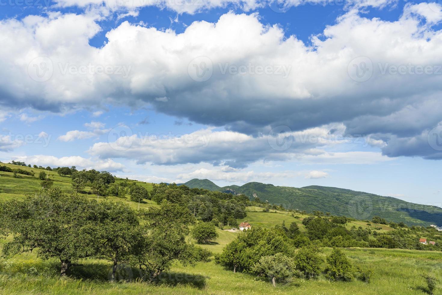 Greben Hill au bord du Danube en Serbie photo