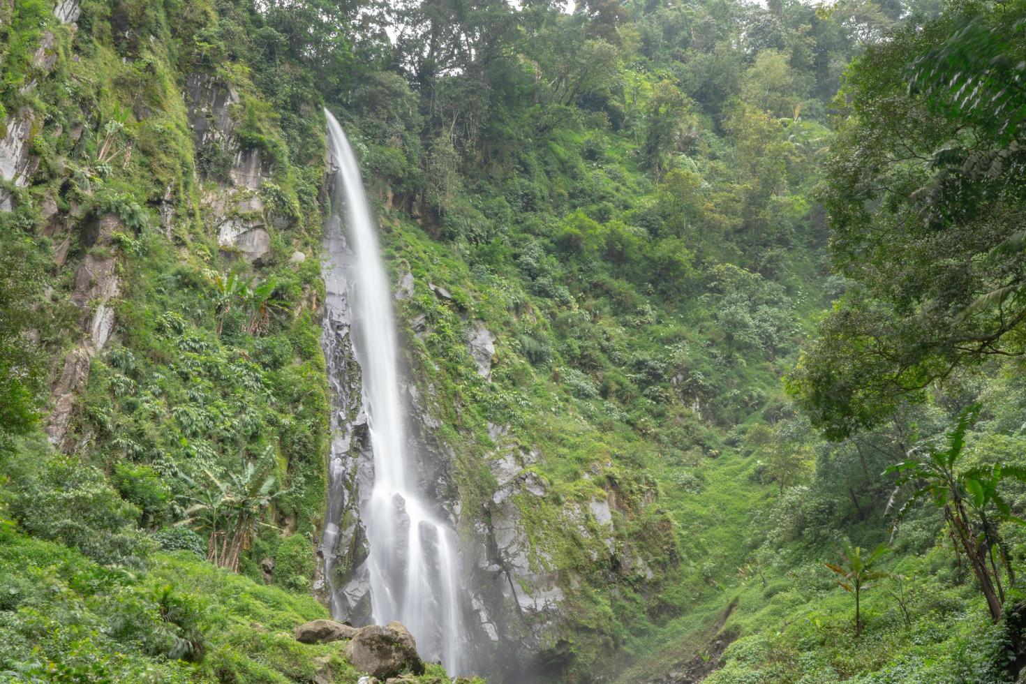 paysage de Célibataire l'eau tomber sur le tropical forêt. le photo est adapté à utilisation pour aventure contenu médias, la nature affiche et forêt Contexte.