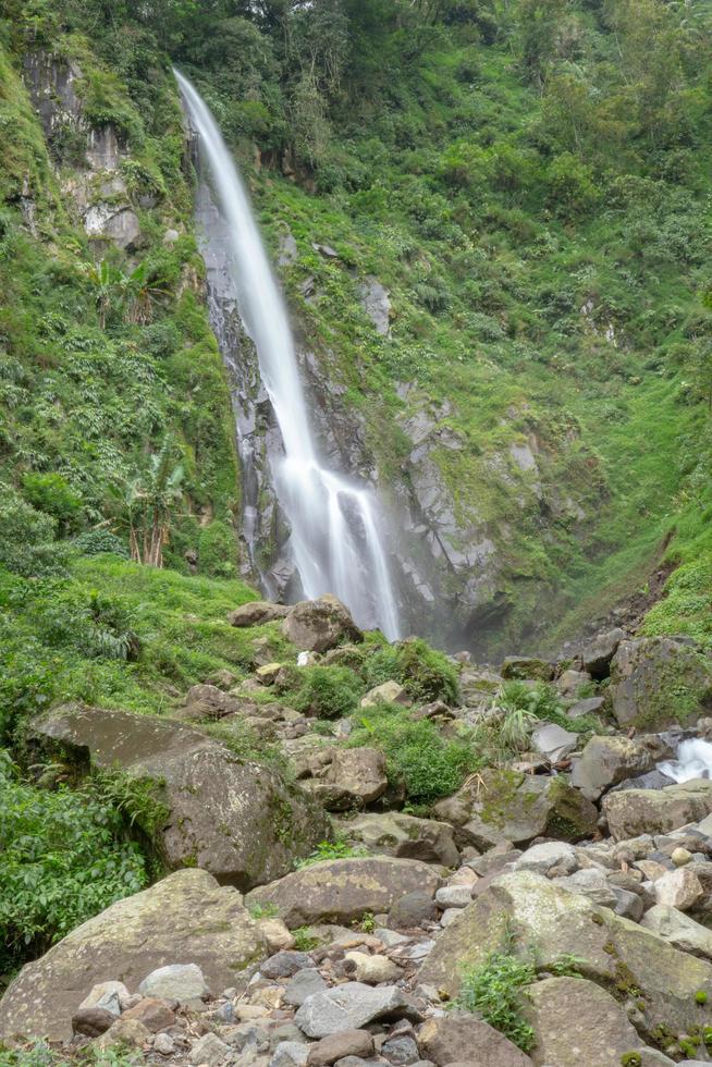 paysage de Célibataire l'eau tomber sur le tropical forêt. le photo est adapté à utilisation pour aventure contenu médias, la nature affiche et forêt Contexte.