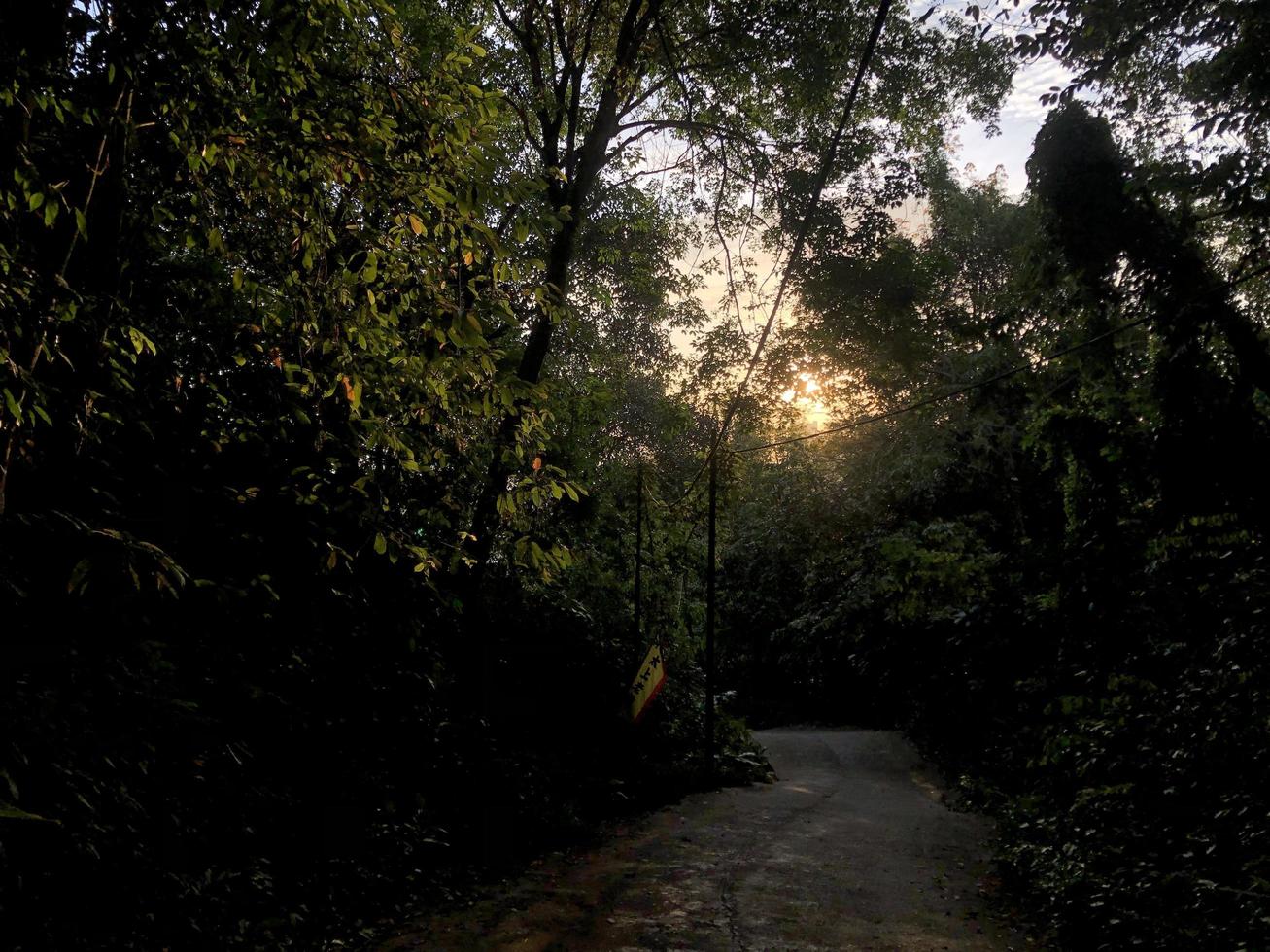 forêt randonnée Piste à Penang, Malaisie photo