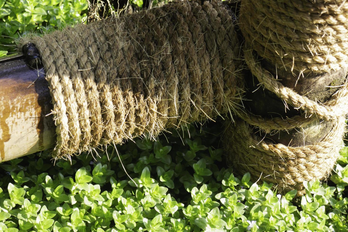 corde dans le jardin photo