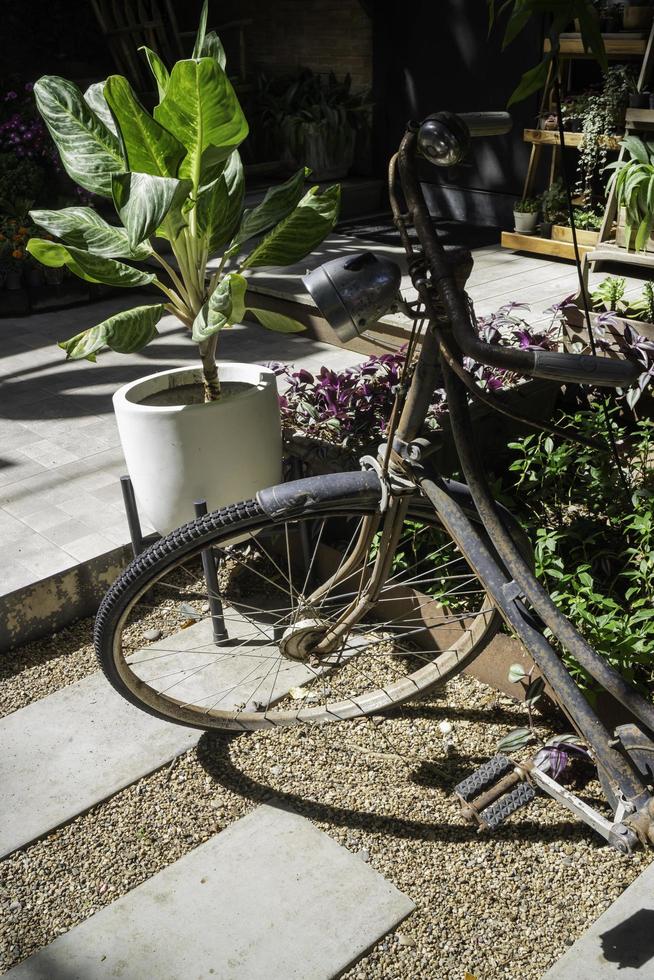 vélo dans un jardin photo