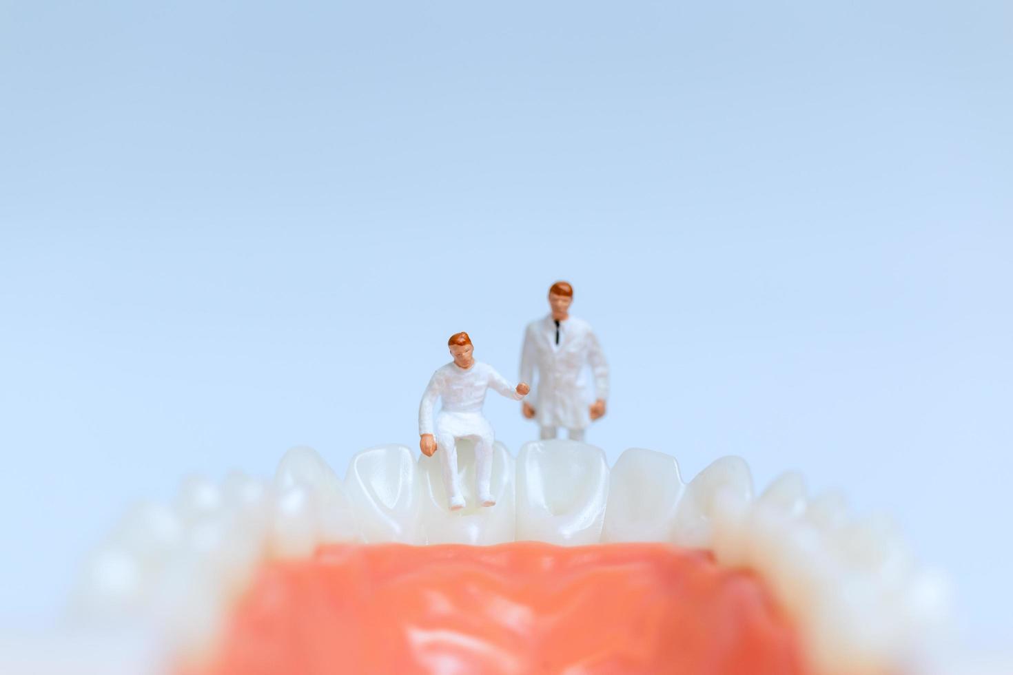 Dentistes miniatures observant et discutant sur les dents humaines avec des gencives photo