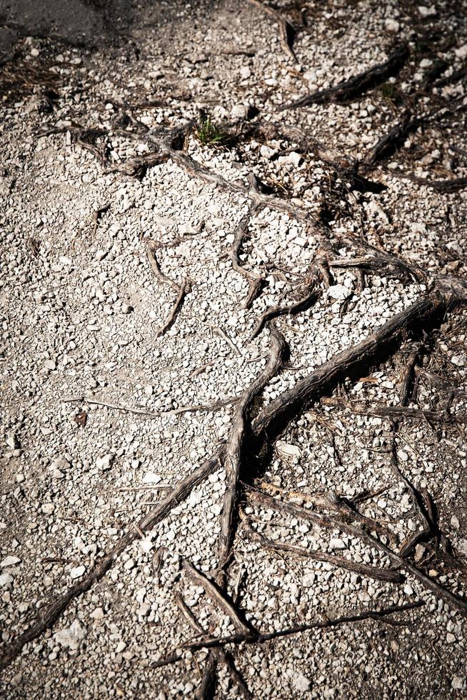 fond de béton fissuré photo