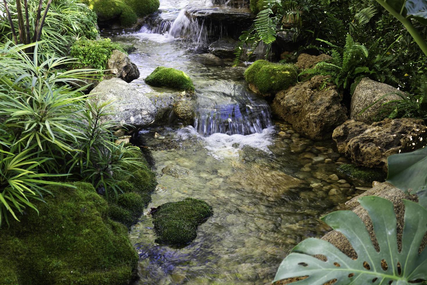 ruisseau avec rochers et petite cascade photo